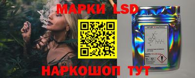 прущие грибы Дубна