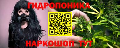 прущие грибы Дубна