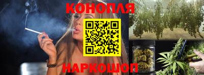 прущие грибы Дубна