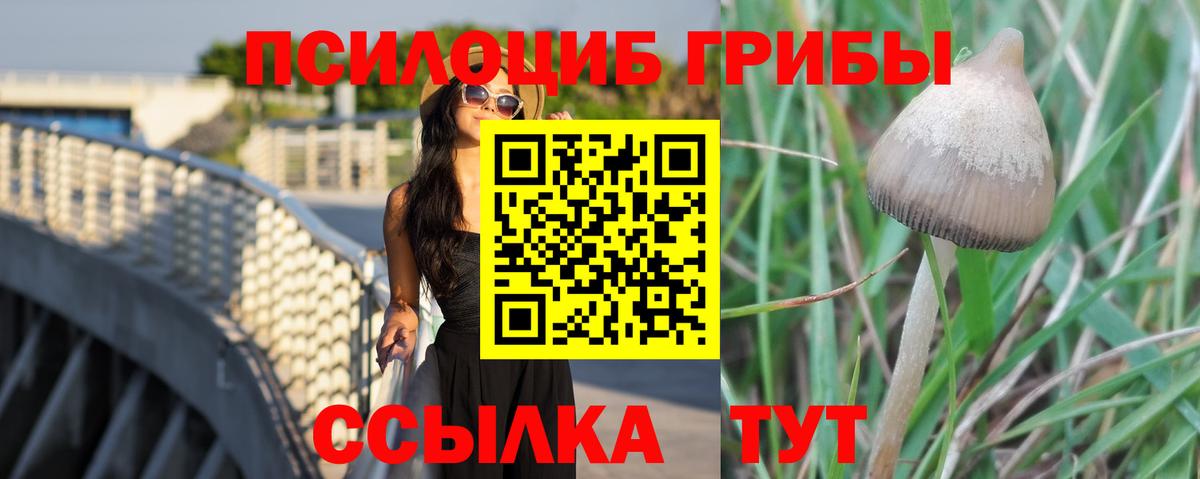 Галлюциногенные грибы ЛСД Губаха